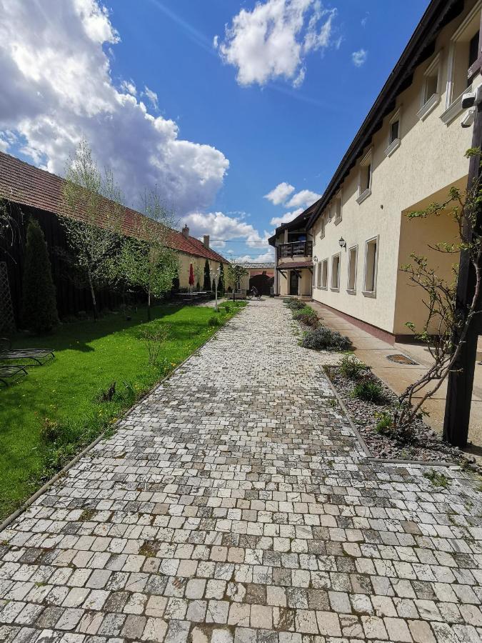 Pensiunea Casa Moga Bucium  Экстерьер фото