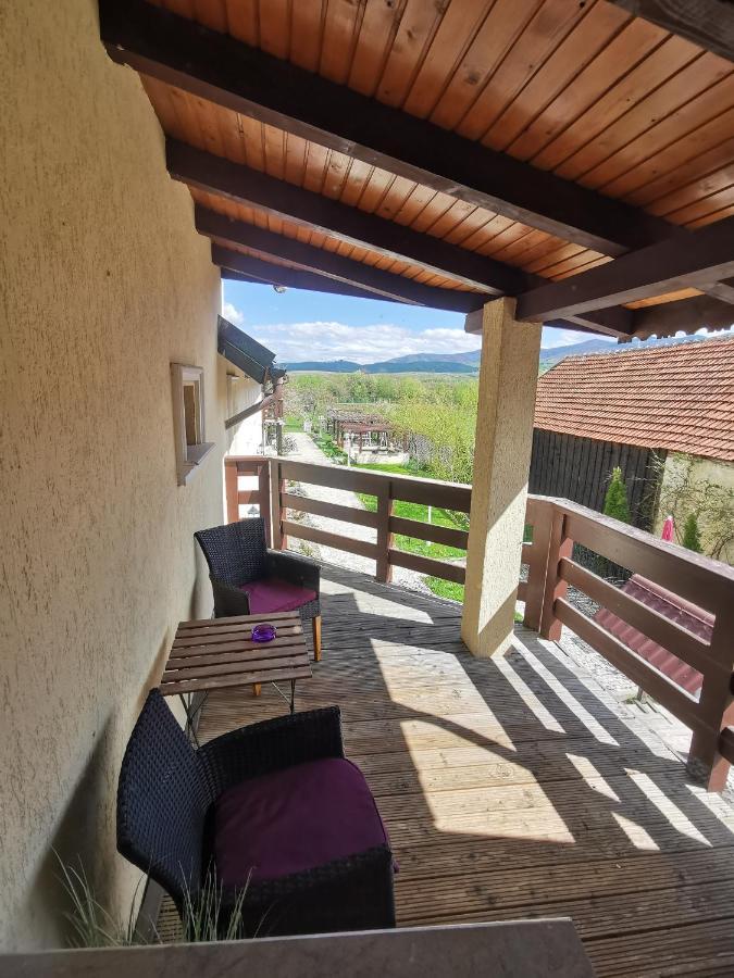 Pensiunea Casa Moga Bucium  Экстерьер фото