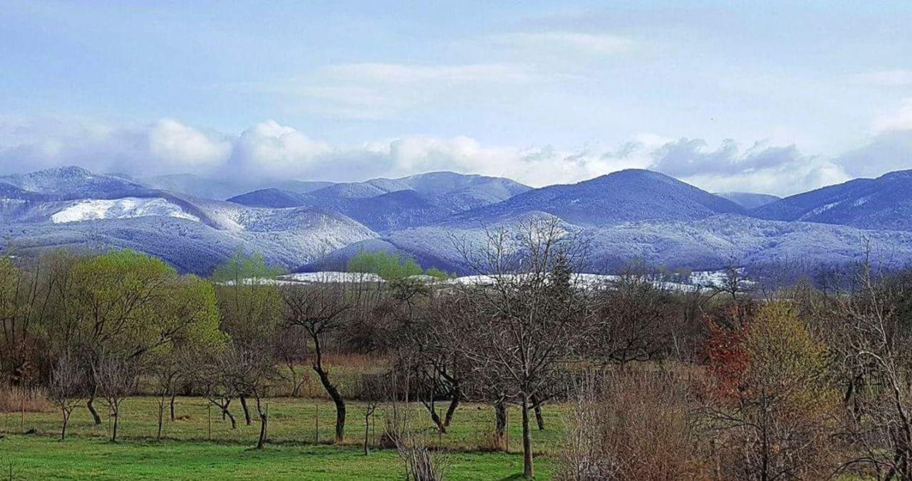 Pensiunea Casa Moga Bucium  Экстерьер фото