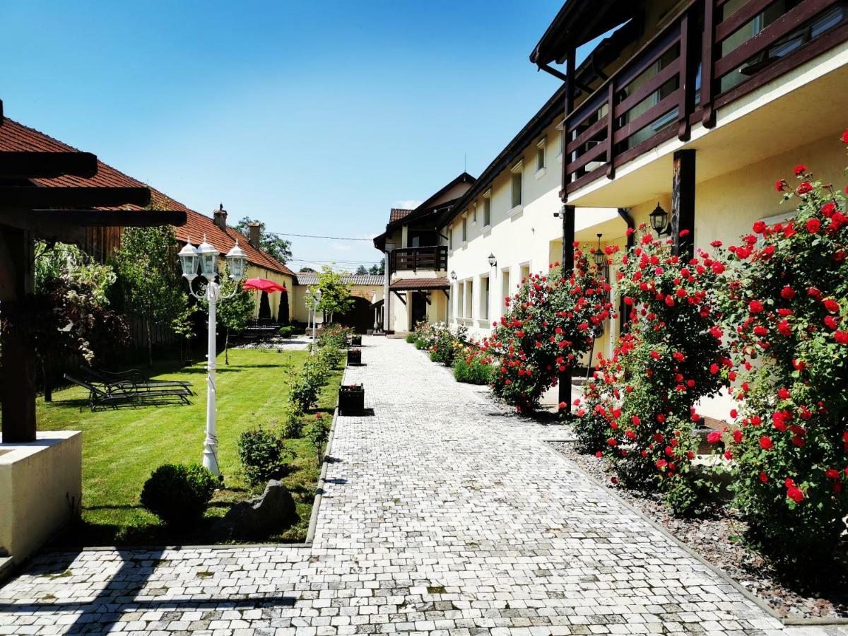 Pensiunea Casa Moga Bucium  Экстерьер фото