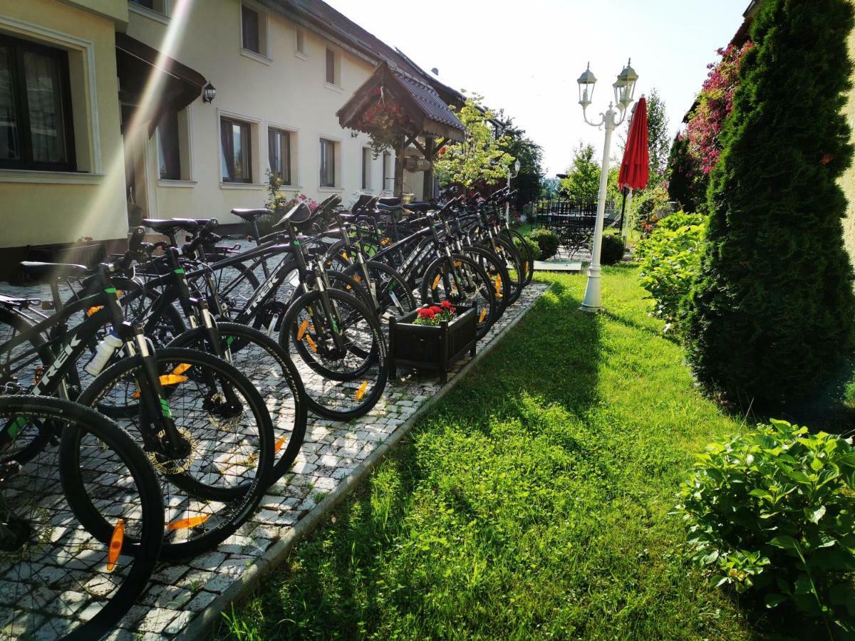Pensiunea Casa Moga Bucium  Экстерьер фото